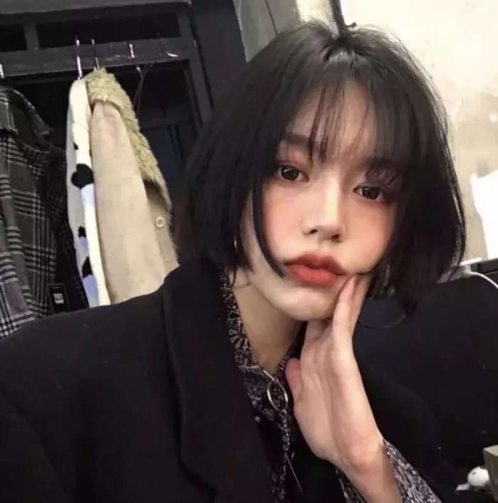 羊与钢之森